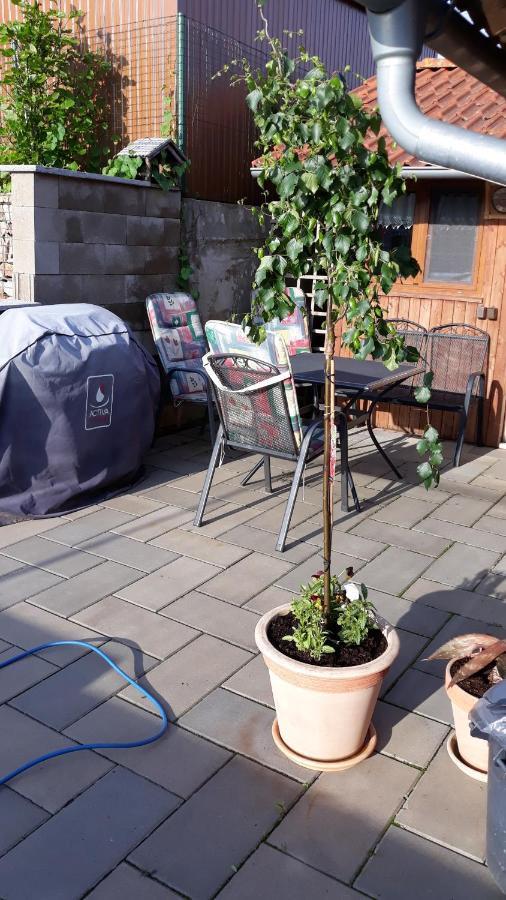 Apartman U Potoka Sadov Zewnętrze zdjęcie